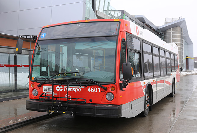 OC Transpo Bus